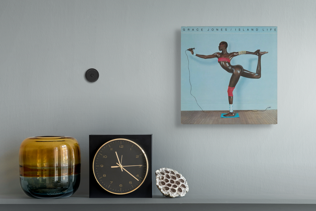 SnapTrack - Magnetic Record Wall Mount (Reservation)